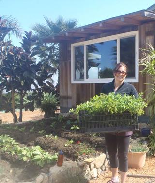 3db63c8643921235819d02bf07bf1a20